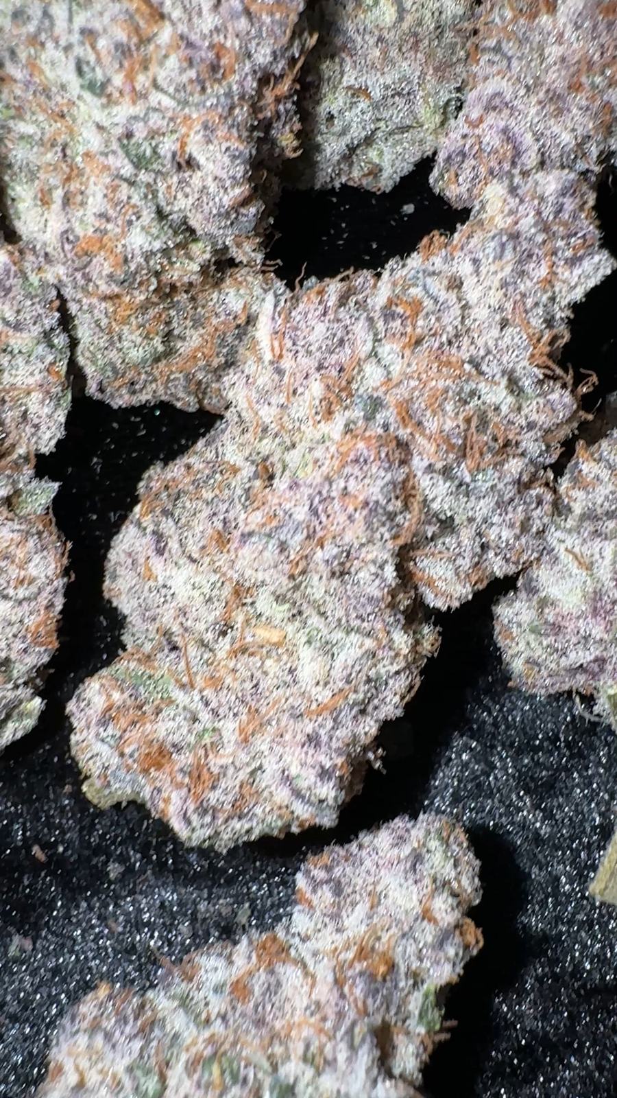 Cured trimmed cannabis flower