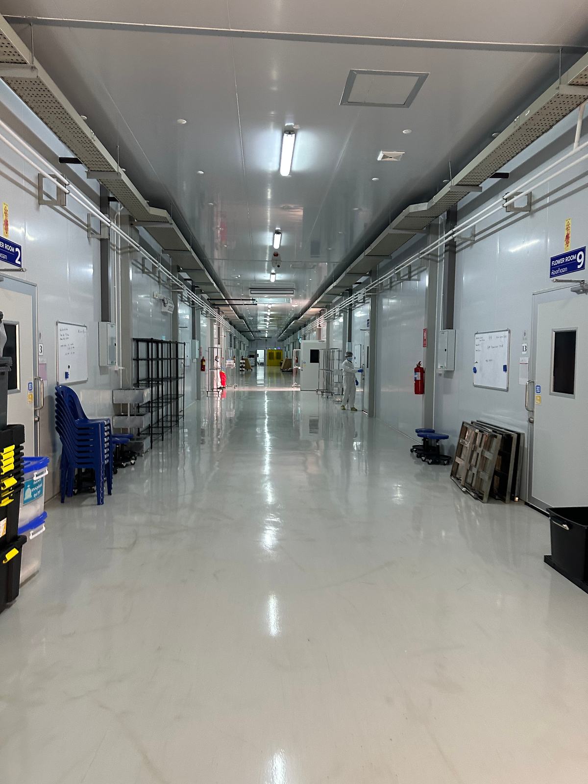 Controlled-environment facility corridor with numbered FLOWER ROOM cleanrooms