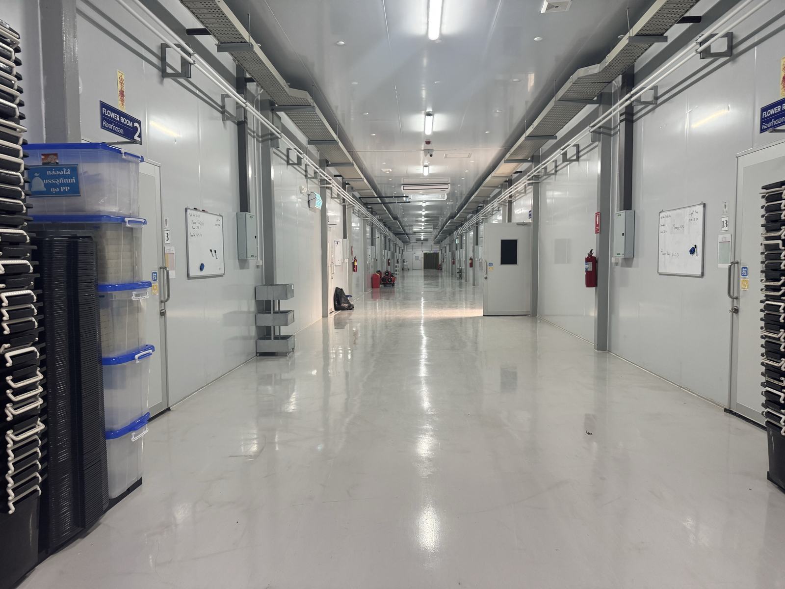 Controlled-environment facility corridor with numbered cleanroom doors